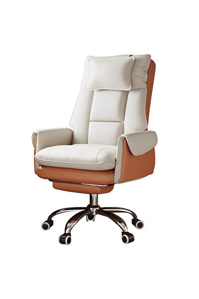 FLYPRO Gaming Office Chair with Cushion,High Back Ergonomic Computer Chair wi...