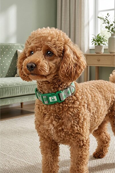 United Colors of Benetton Bntmkt-0028-Db-1 Knitted Cat & Dog Collar 1.5X26-40 cm