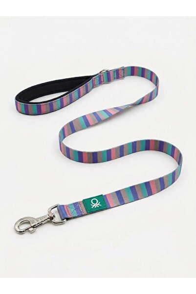 United Colors of Benetton BNTMKT-0041-DS-2 طوق شبكي للقطط والكلاب مقاس 1.5×12...