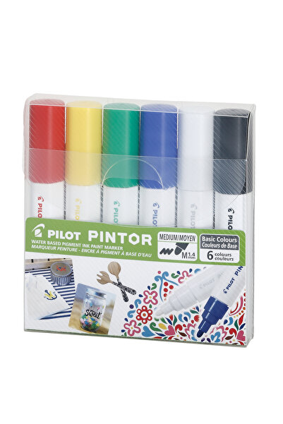 Generic Brand Pintor-m-6 color set (basic)