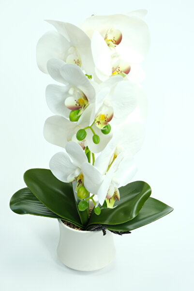 OEM Artificial Orchids in Pots