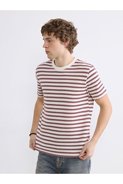 LC Waikiki طاقم الرقبة مخطط تي شيرت للرجال