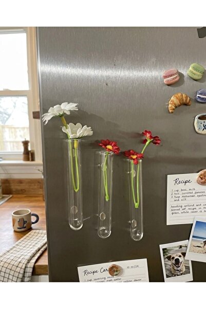 nazarboncuğu Cam Vazo Magnet Bitki Köklendirici 3lü 10cm uzunluk Şeffaf Vazo ...