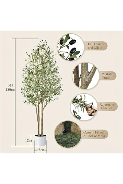 ZVEZVIA شجرة زيتون طبيعية المظهر، بطول 180 سم. مثالي لديكور المنزل/المكتب وال...