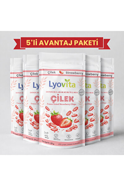 Dondurularak Kurutulmuş (Freeze Dried) Çilek 20 g - 5'li avantaj paketi