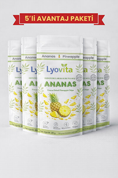 Dondurularak Kurutulmuş (Freeze Dried) Ananas 20 g - 5'li avantaj paketi