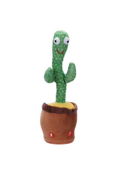 Montreal Dans Eden Kaktüs (Sade Kaktüs) ( 1 ADET )