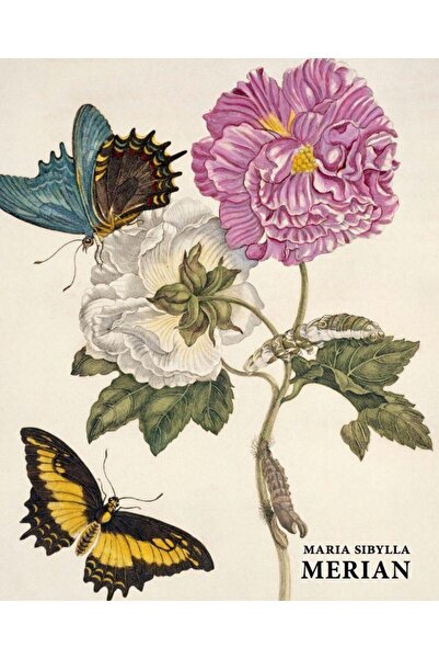 Editura Prior & Books Album de arta Maria Sibylla Merian