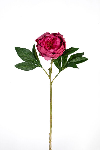 Çinpa Şakayık Fuşya 58 cm