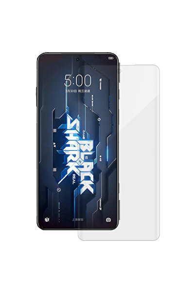 SILKASE Foil for Xiaomi Black Shark 5 Pro, screen protector, silicone