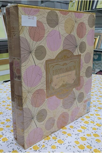 Decorhills FRAMES & DECOR Photo Album Organizer for Special Occasions