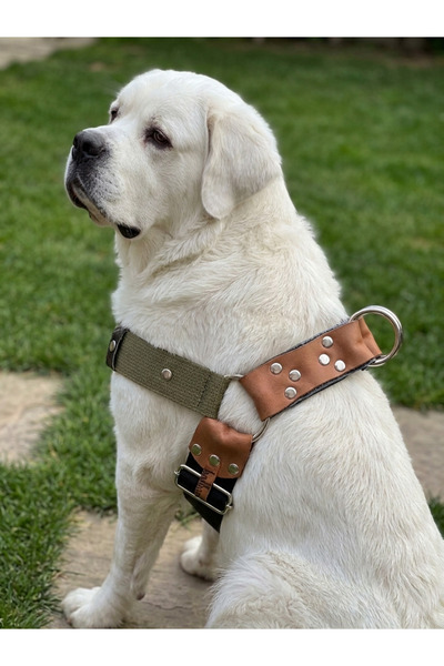 balkonda حزام صدر للكلاب قابل للتعديل للسلالات الضخمة بعرض 5 سم، حزام أمان، ح...