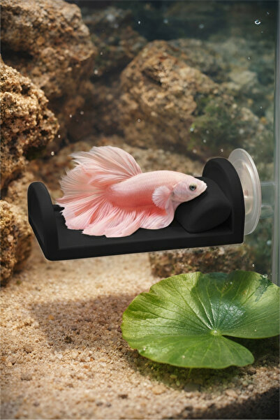 Akvaryum Beta Dinlenme Alanı ( Siyah ) Mini Yastıklı Yatak Beta Balıgı Dinlen...