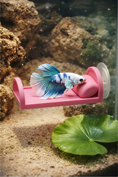 Akvaryum Beta Dinlenme Alanı ( Pembe ) Mini Yastıklı Yatak Beta Balıgı Dinlen...
