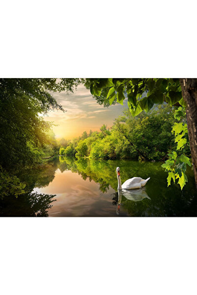 VIODESIGN Fototapet peisaj, autoadeziv, Lebada Lac , multicolor, 80x120 cmPE27