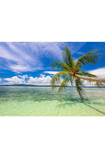 VIODESIGN Fototapet peisaje, autoadeziv, Plaja Exotica , multicolor,80x120 cm...