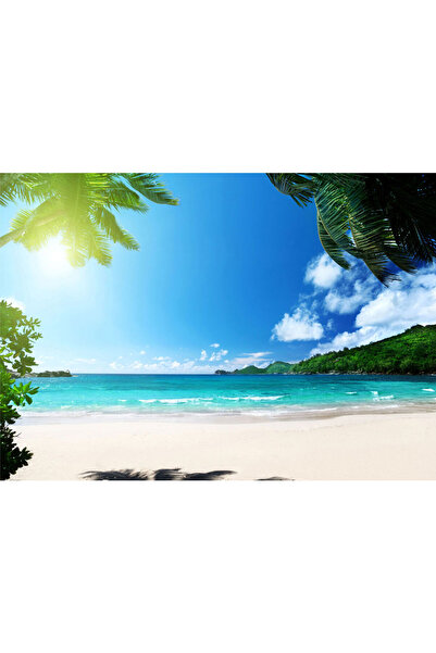 VIODESIGN Fototapet peisaj, autoadeziv, Plaja Tropicala , multicolor, 80x120 ...