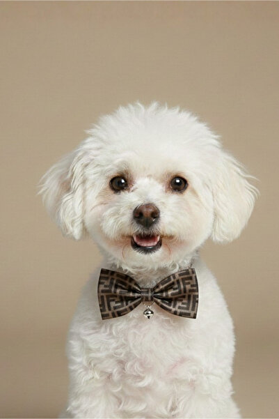 SHYCO PETS Kedi Köpek Premium Ayarlanabilir Papyon