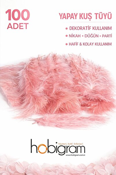 Hobigram Premium Yapay Kuş Tüyü 100 Adet Pudra Ekonomik Paket Nikah Düğün Par...