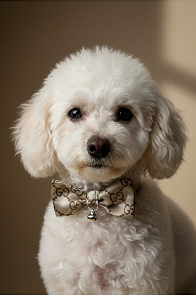 SHYCO PETS Kedi Köpek Premium Ayarlanabilir Papyon