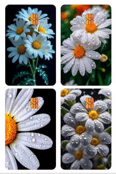 artea tasarım Προστατευτικό κάλυμμα πιστωτικής κάρτας 4 τεμαχίων Exquisite Da...