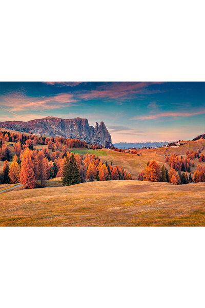 VIODESIGN Fototapet peisaj, autoadeziv, Toamna , multicolor, 80x120 cm PE174
