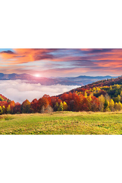 VIODESIGN Landscape photo wallpaper, self-adhesive, Sunset, multicolor, 80x12...