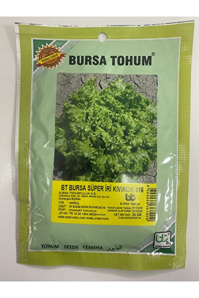 Bursa Tohumculuk Bursa Süper İri Kıvırcık 016 Marul Tohumu 25 gram