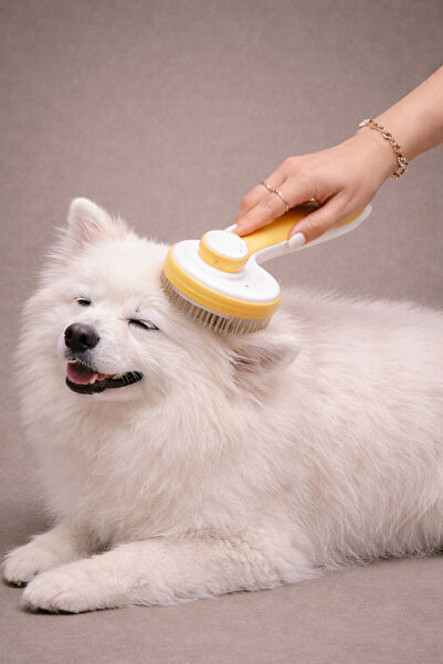 Merlin's Easy-To-Clean Ear Design Cat and Dog Hair Comb