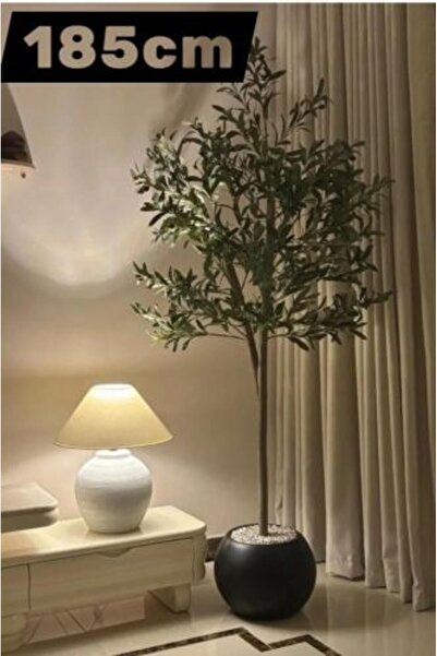 BYT ALRWASM FOR TRADE Olive Tree 185 cm with Large Black Base