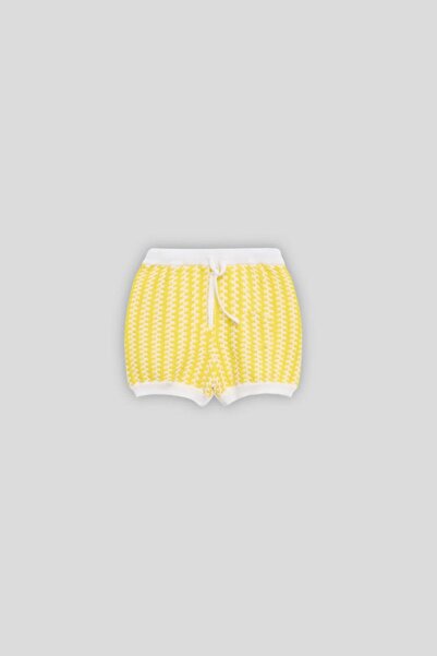 GB Baby BG Store Baby Boy Striped Shorts