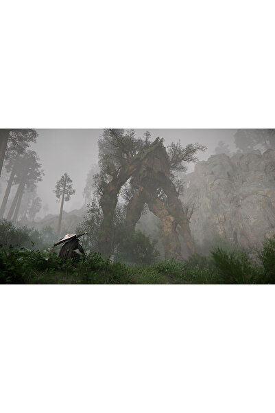 Genel Markalar Crimson Desert - Day One Edition - PS5 (Türkçe Altyazı)