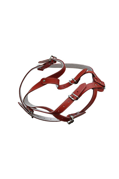 Antal HAM PIELE PENTRU CAINI CU ORNAMENT NR.1 ROSU 40-47CM/16MM