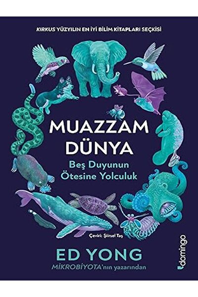 Domingo Yayınevi Muazzam Dünya: Beş Duyunun Ötesine Yolculuk