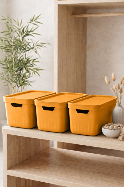 Kitchen Life Aura 3-Piece Multi-Purpose Storage Container with Lid, Closet Or...