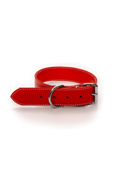 Antal LEATHER DOG COLLAR PS NR6