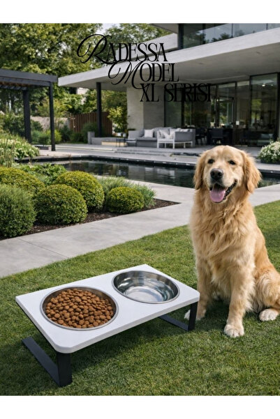 Okay Büyük ve Orta Boy Köpekler için %10 Eğimli Mama Kabı Çift Hazneli Su ve ...
