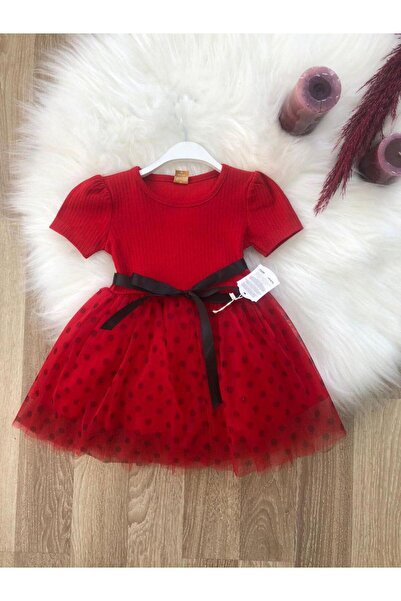 SOFYELLA A Stylish Dress for Girls with an Elegant and Eye-Catching Design.
