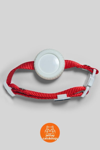 Jelilay طوق للقطط مع جهاز تتبع Airtag (Safety Click)