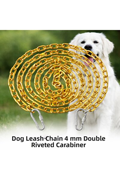 Vi Caro 8 Meters Dog Tie Chain 4 mm Walking Chain + 2 Screwed Carabiners Stee...