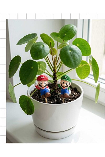 Dodemert Home Süper Mario Saksı Dibi Süsü & Teraryum Obje 4 Adet