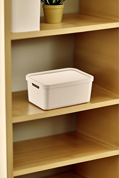 Smartware Stafi Multi-Purpose Box with Lid 4.5 Lt
