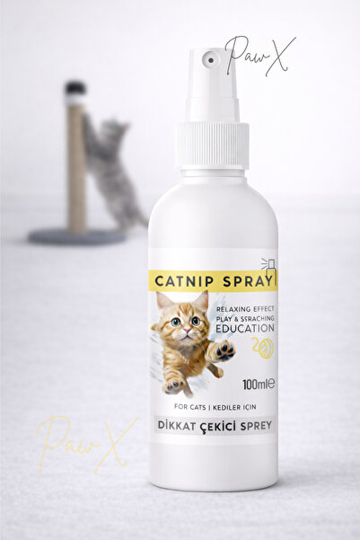 PawX Catnip Oyun ve Sakinleştirici Sprey Kedi Tırmalama Tahtası İçin Doğal Di...