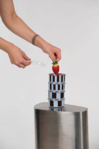 EMAYlab وعاء إيميلاكسبيبثينجز بيري إيماي بالمينا مع غطاء، 4 قطع، لتقديم الوجب...