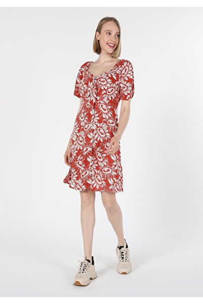 Colin's slim fit Rochie maro pentru femei