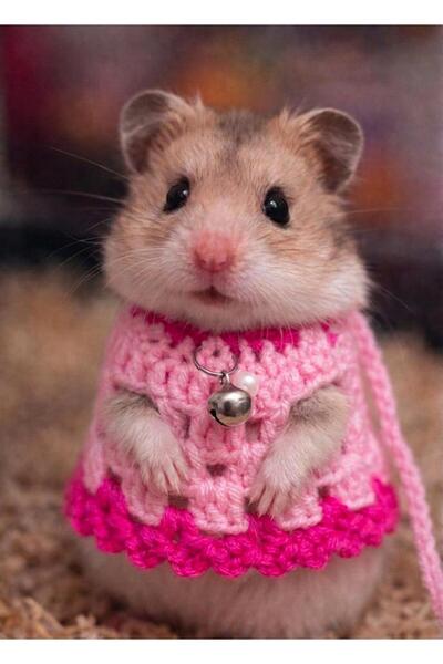 Berliva Home Hamster Örgü Elbise – Gezdirme Tasmalı Kemirgen Kıyafeti Pembe
