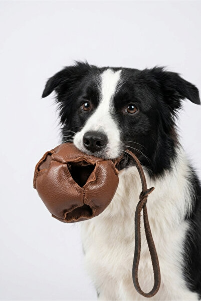 MIUFGO Köpek Oyuncağı Deri Top Dog Tug Isırma ve Çekiştirme Eğitim Ürünü