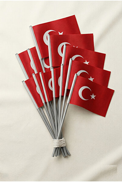 HOBBYRONS 10 Adet Türk Bayrağı 20x30,sopalı Bez Bayrak