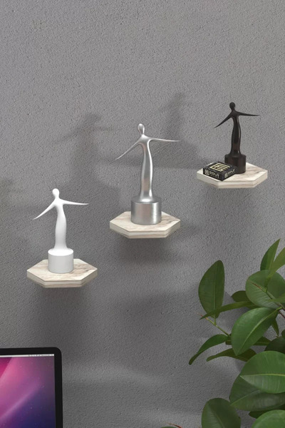 Kanonik Education رف حائط مزخرف 3 قطع أصيص زهور سداسي الشكل