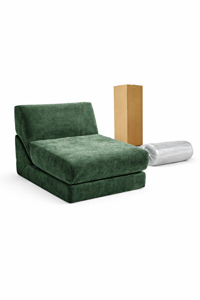 OEM Canapea extensibila pliabila 2 in 1, fotoliu convertibil + Perna, husa la...